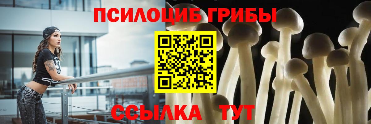 Галлюциногенные грибы мухоморы Артём